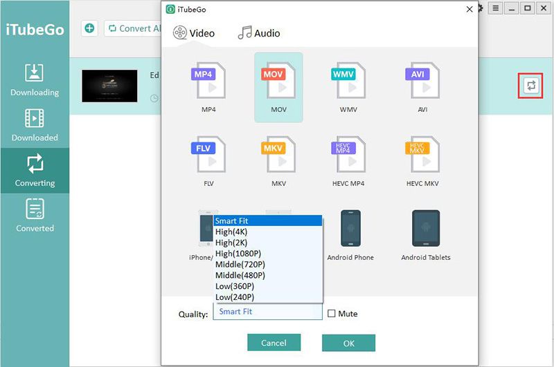converting output format setting