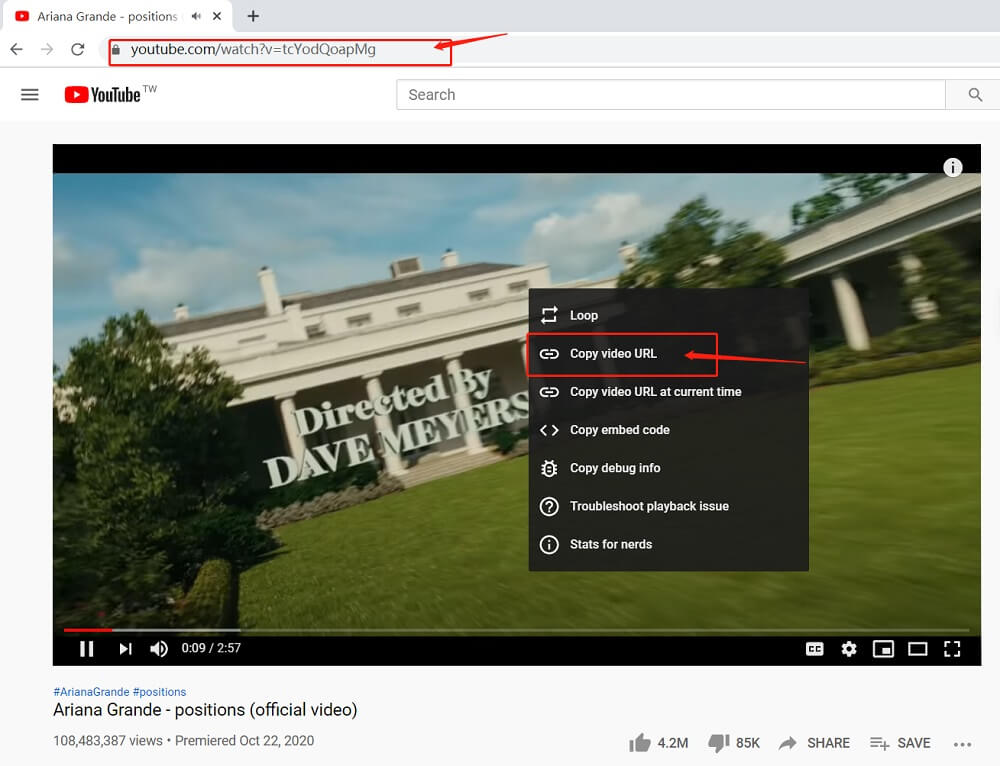 How to Download YouTube Lyrics from Music Video