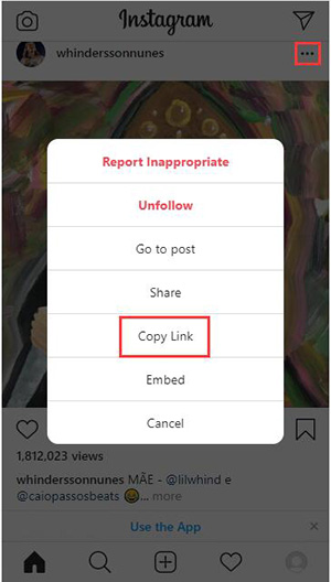 copy instagram private video