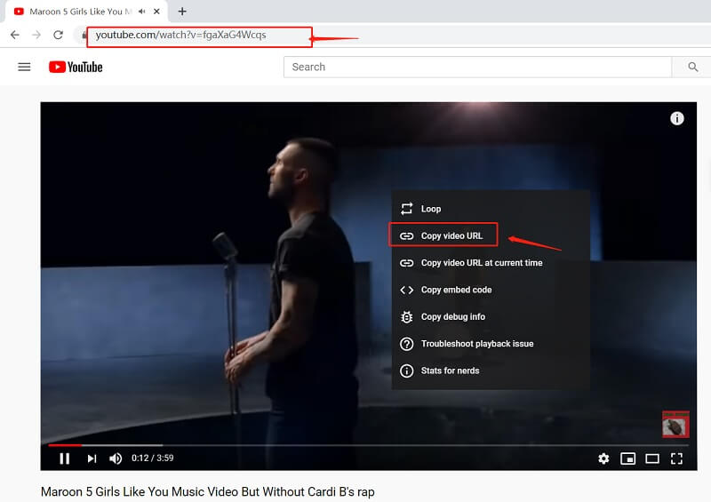 download youtube videos by url