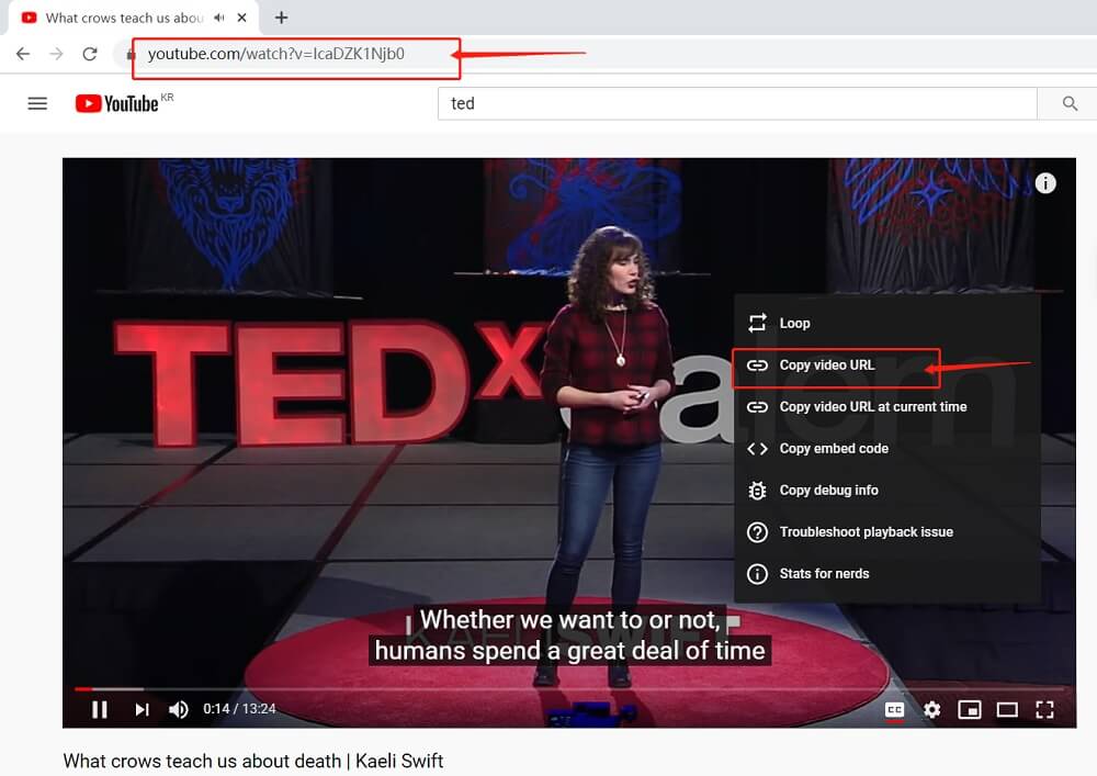 How To Download Ted Talks Mp3 And Videos With English Subtitles