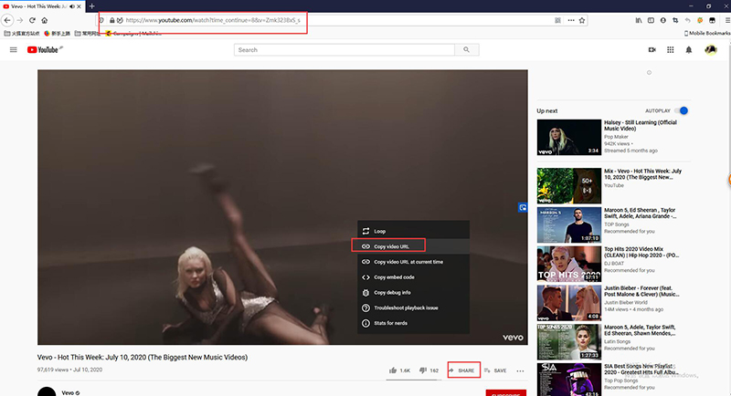 How to Download Vevo Videos from YouTube by Software/Online/APP | iTubeGo