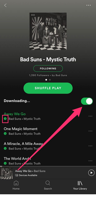 how to get downloaded songs on spotify to your desktop