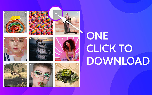 instagram downloader