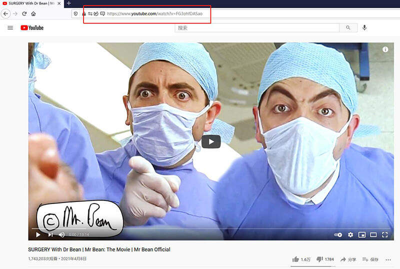 is video surgeon for mac or pc