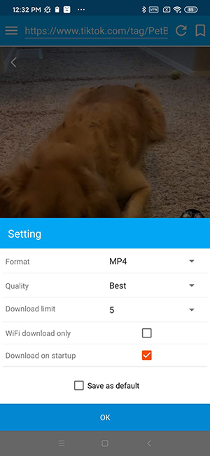 4 Helpful TikTok Downloader APP for Your Choose (100% Work)